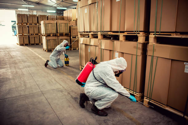 Best Flea Control Services  in Bakersfield, CA