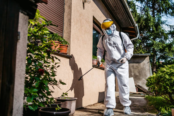 Best Affordable Pest Control Services  in Bakersfield, CA