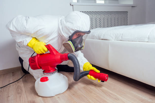 Flea Control Services in Bakersfield, CA