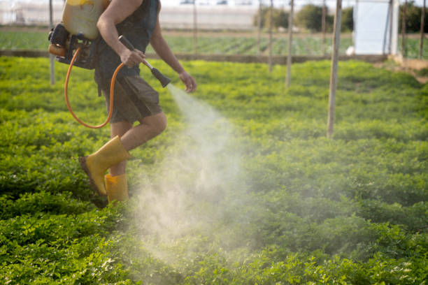  Bakersfield, CA Pest Control Pros