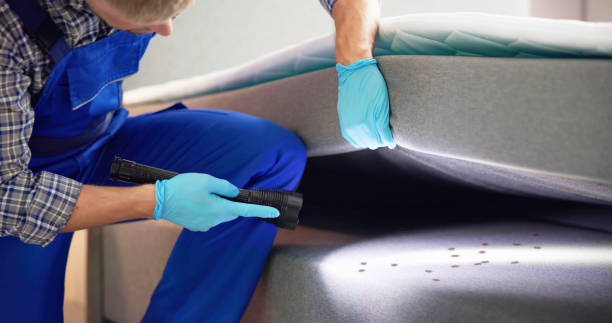 Best Ant Control Services  in Bakersfield, CA
