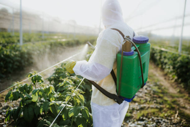 Pest Control for Restaurants in Bakersfield, CA